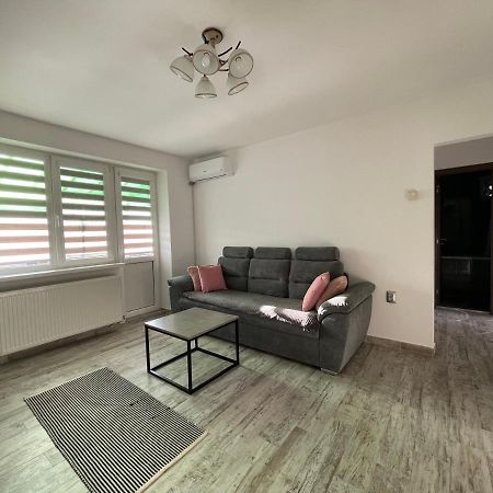 Tei Apartment - Lucian Blaga 萨图马雷 外观 照片