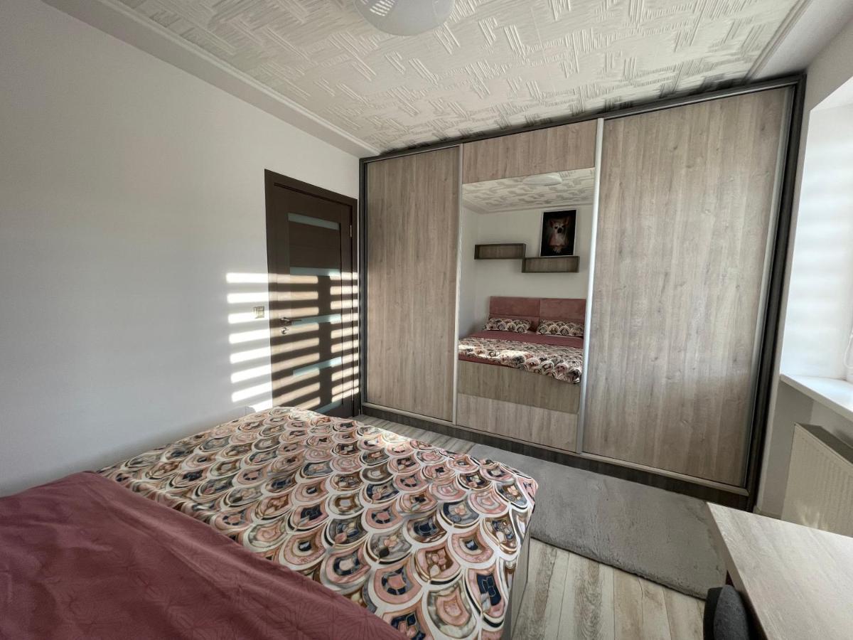 Tei Apartment - Lucian Blaga 萨图马雷 外观 照片
