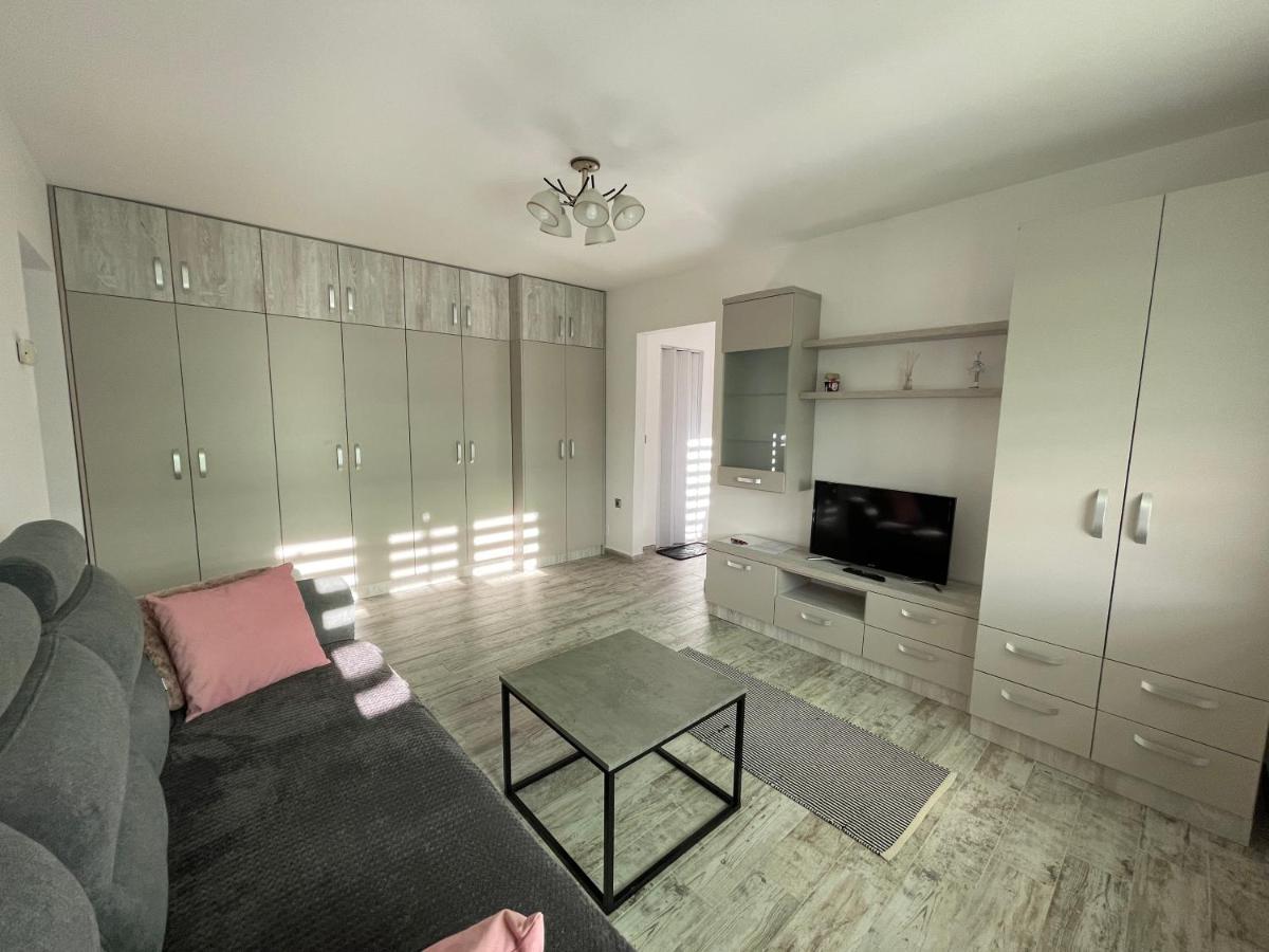 Tei Apartment - Lucian Blaga 萨图马雷 外观 照片